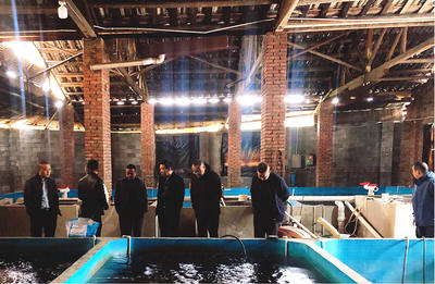 懷化市畜牧水產(chǎn)事務(wù)中心調(diào)研芷江漁業(yè)產(chǎn)業(yè)鏈發(fā)展，探索汽車裝飾用品跨界融合新機遇